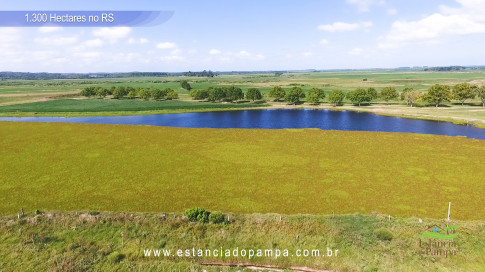 Os gaiteiros buenos - o som do gaitaço [VDownloader].00_01_50_14.Quadro023_94bf65a429346187681caabcd16a9aa1a0b43e59.jpg